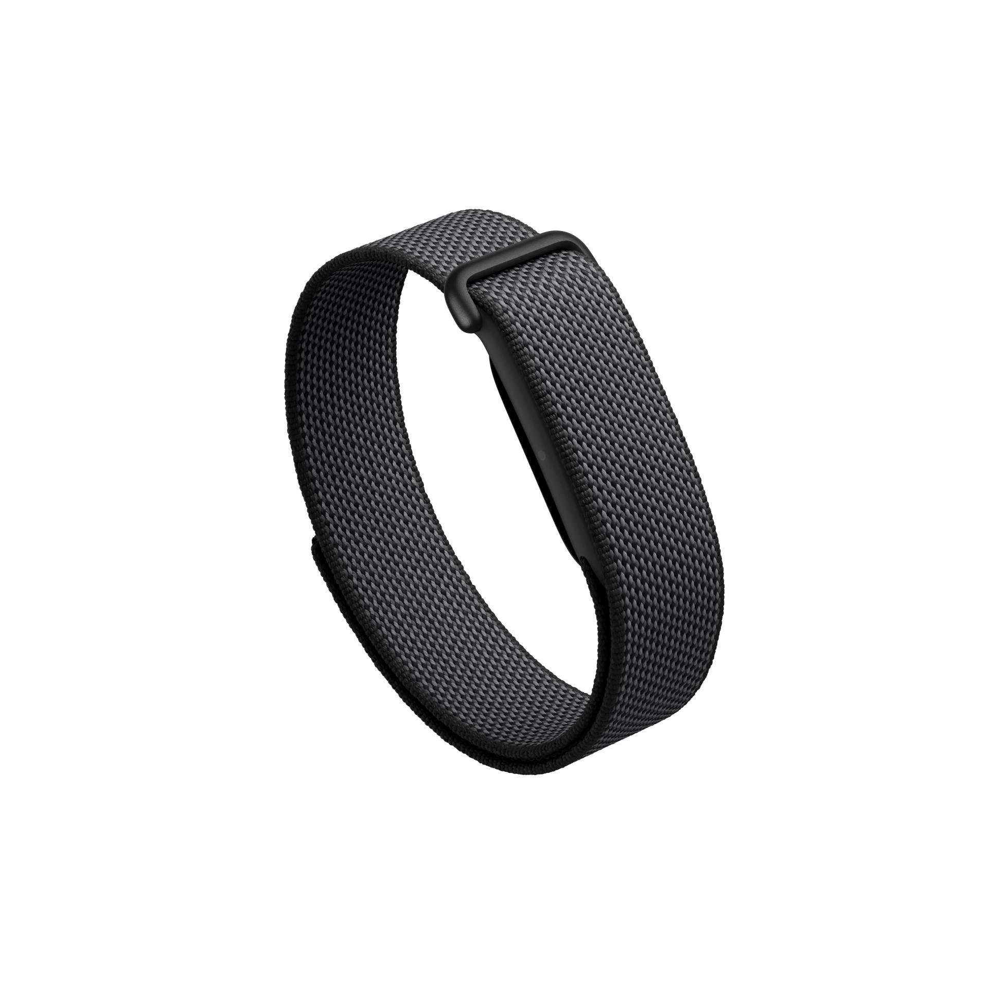 Google Fitbit Air