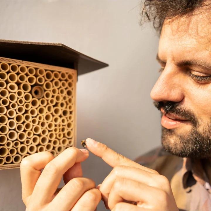 Wildbiene + Partner BeeHome One