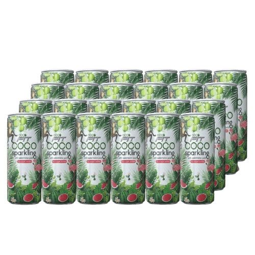 Kokoswasser mit Wassermelone (24x320ml)