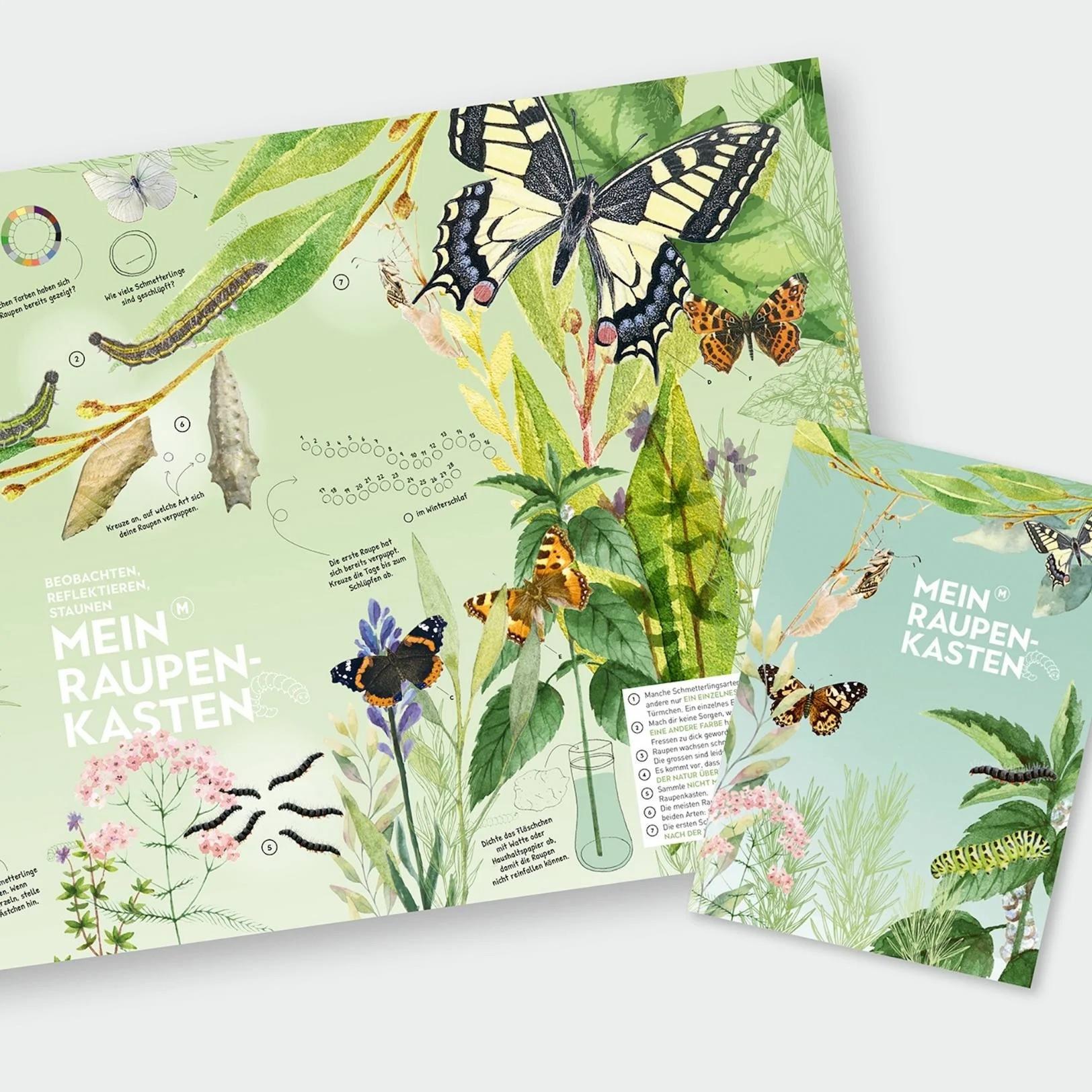 Wildbiene + Partner Raupenkasten für Schmetterlinge