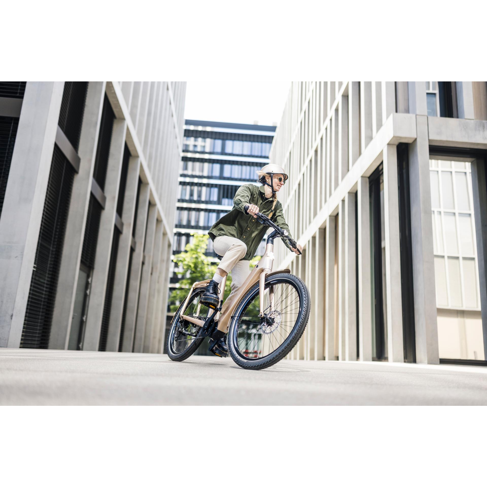 EGO Movement Pixii E-Bike inkl. Montage und Lieferung