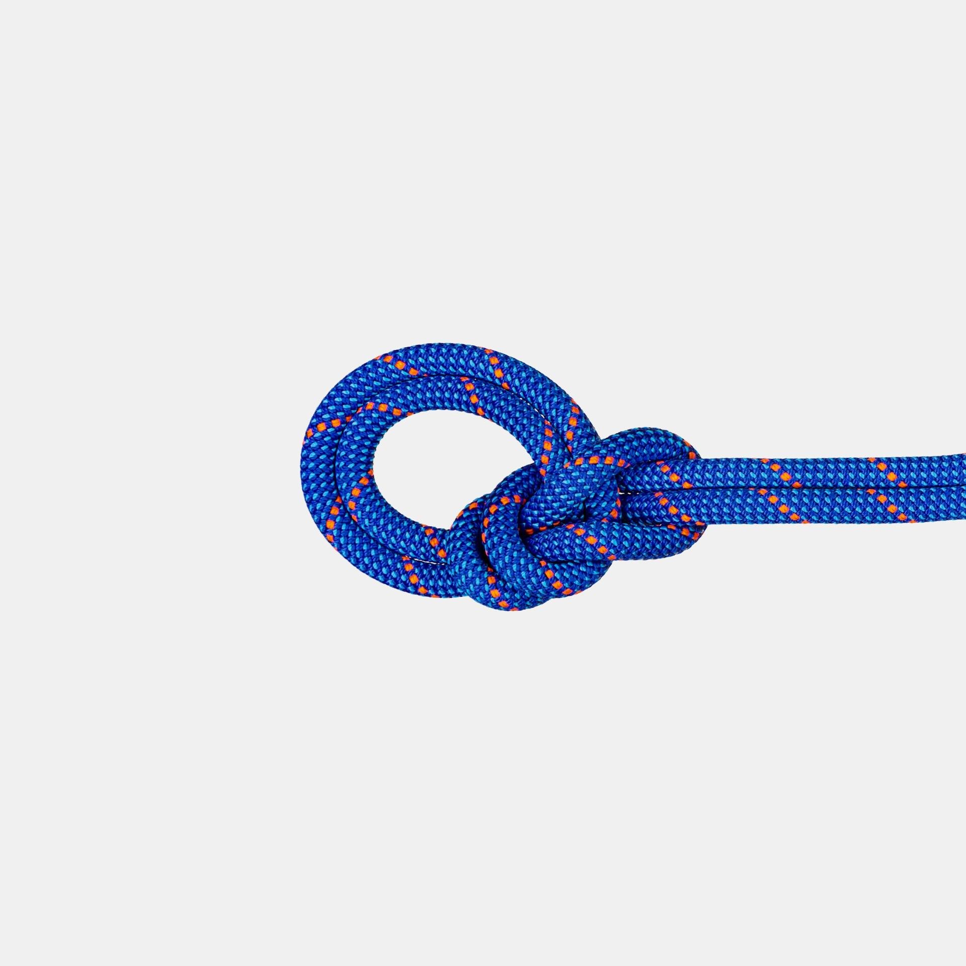 Mammut Einfachseil 9.5 Crag Dry 