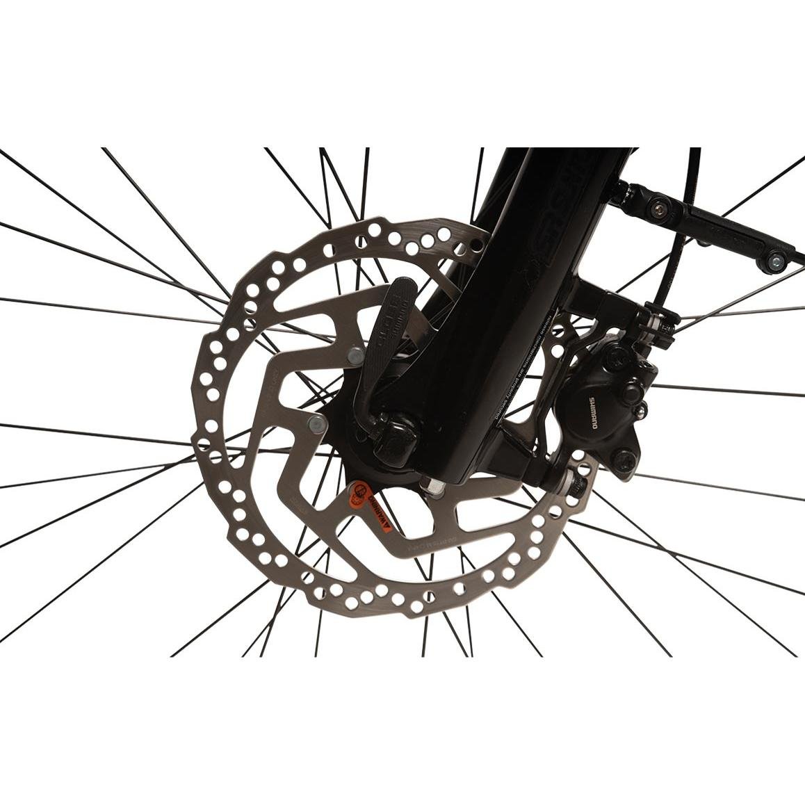 Allegro Vélo électrique Allcity Lite+, montage et livraison compris