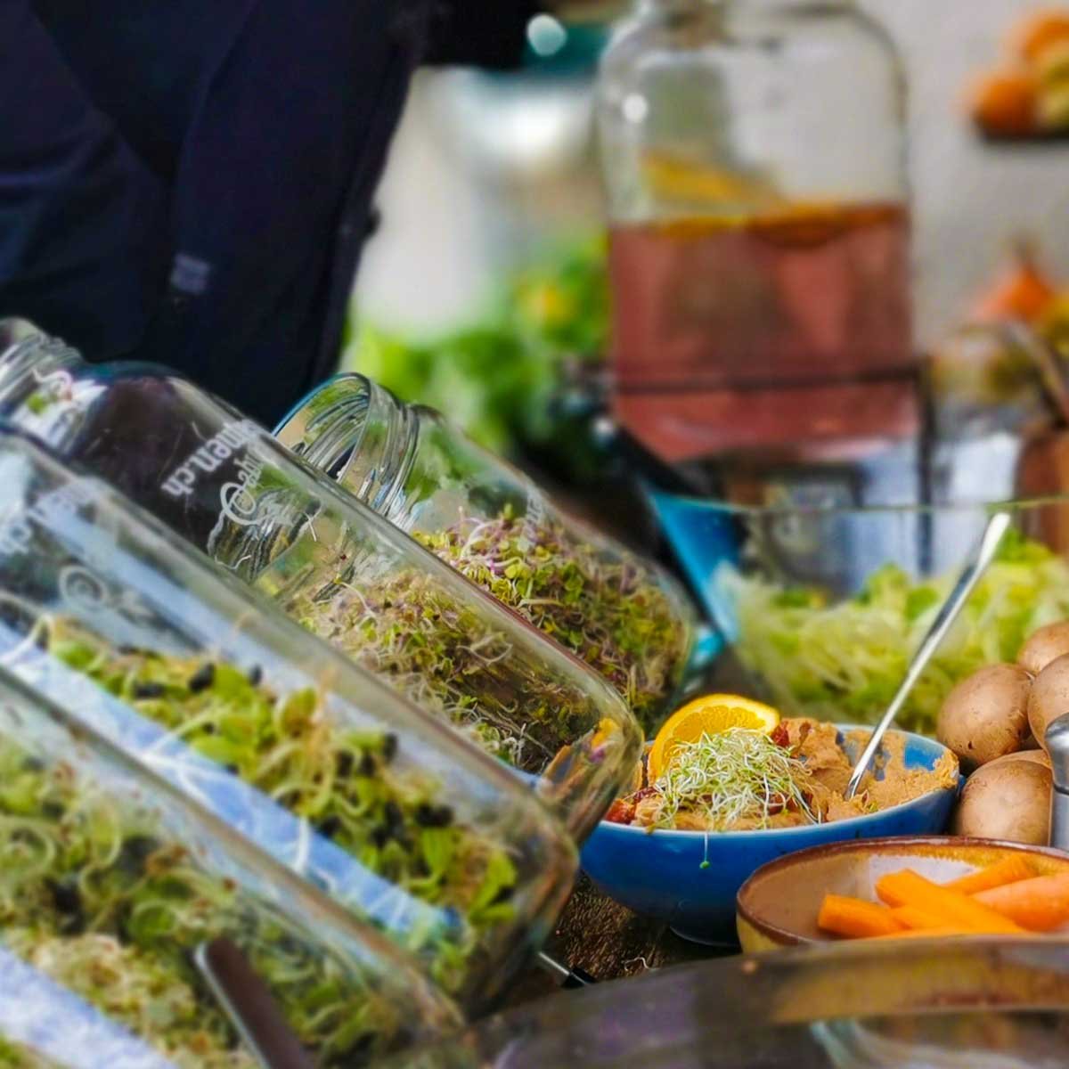 sprossensamen.ch Sprossen Starterset