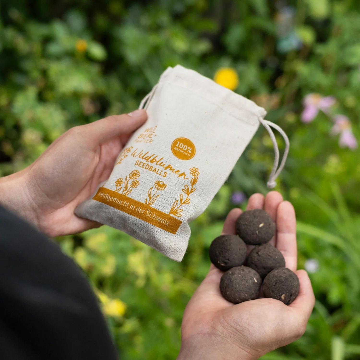 Wildbiene + Partner Seedballs mit Wildblumen Set