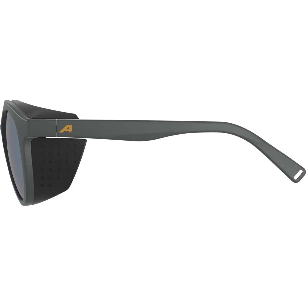 Alpina GLACE P Sonnenbrille - Unisex
