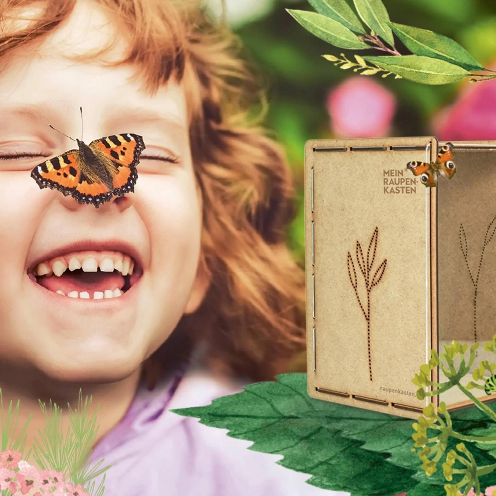 Wildbiene + Partner Raupenkasten für Schmetterlinge