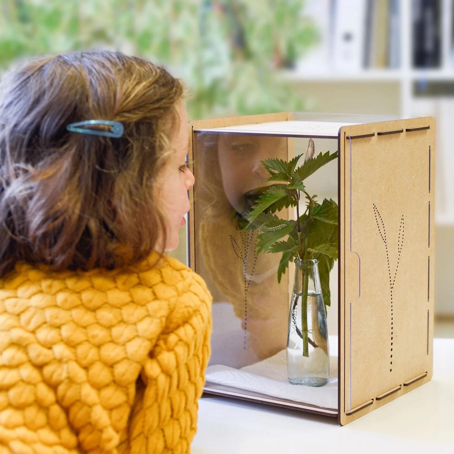 Wildbiene + Partner Raupenkasten für Schmetterlinge