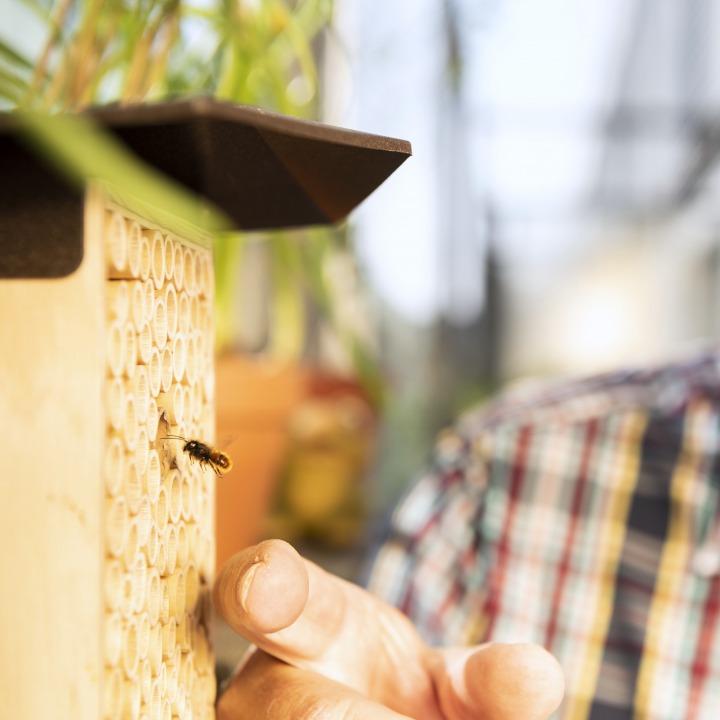 Wildbiene + Partner BeeHome One