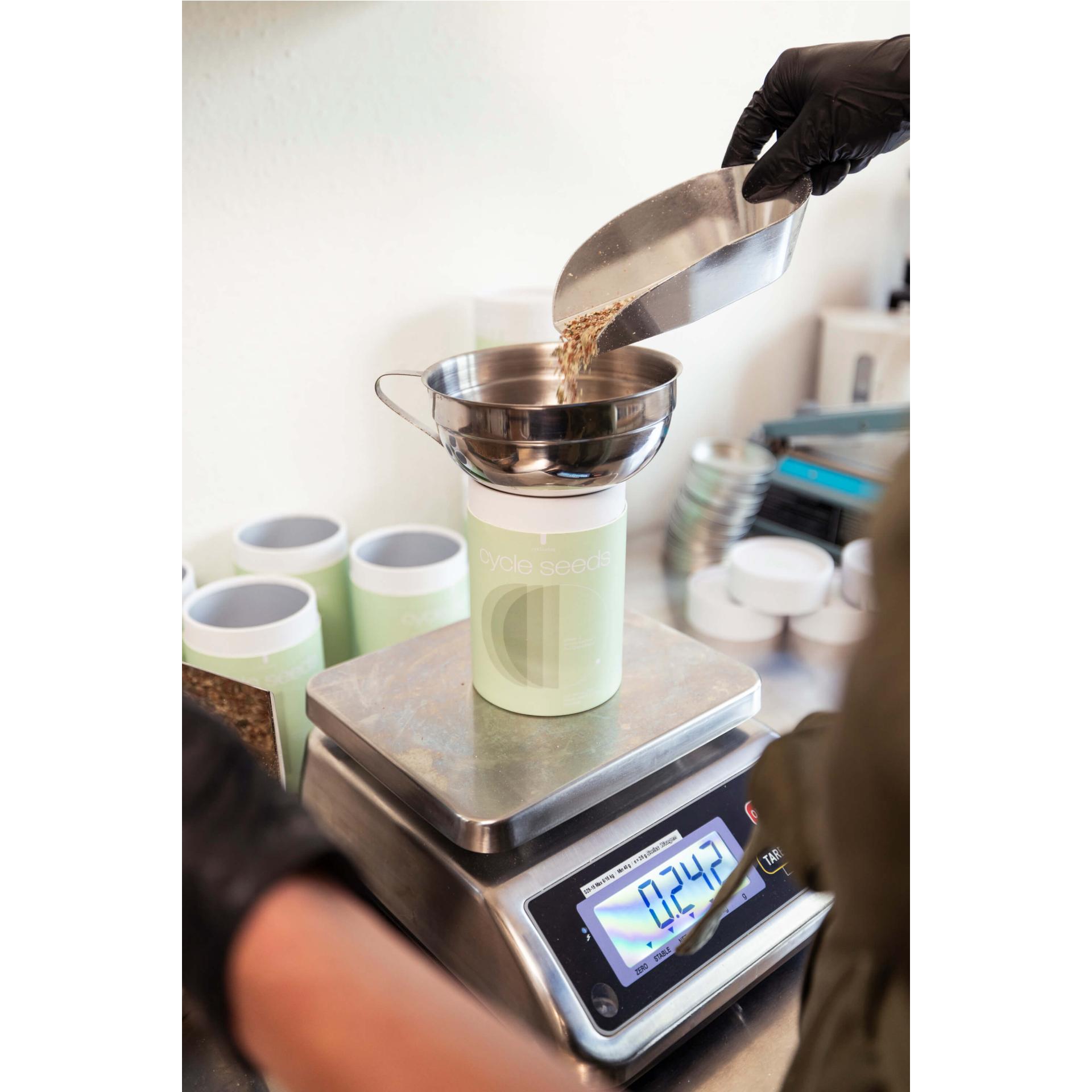 LÜN Cycle Seeds im Duo