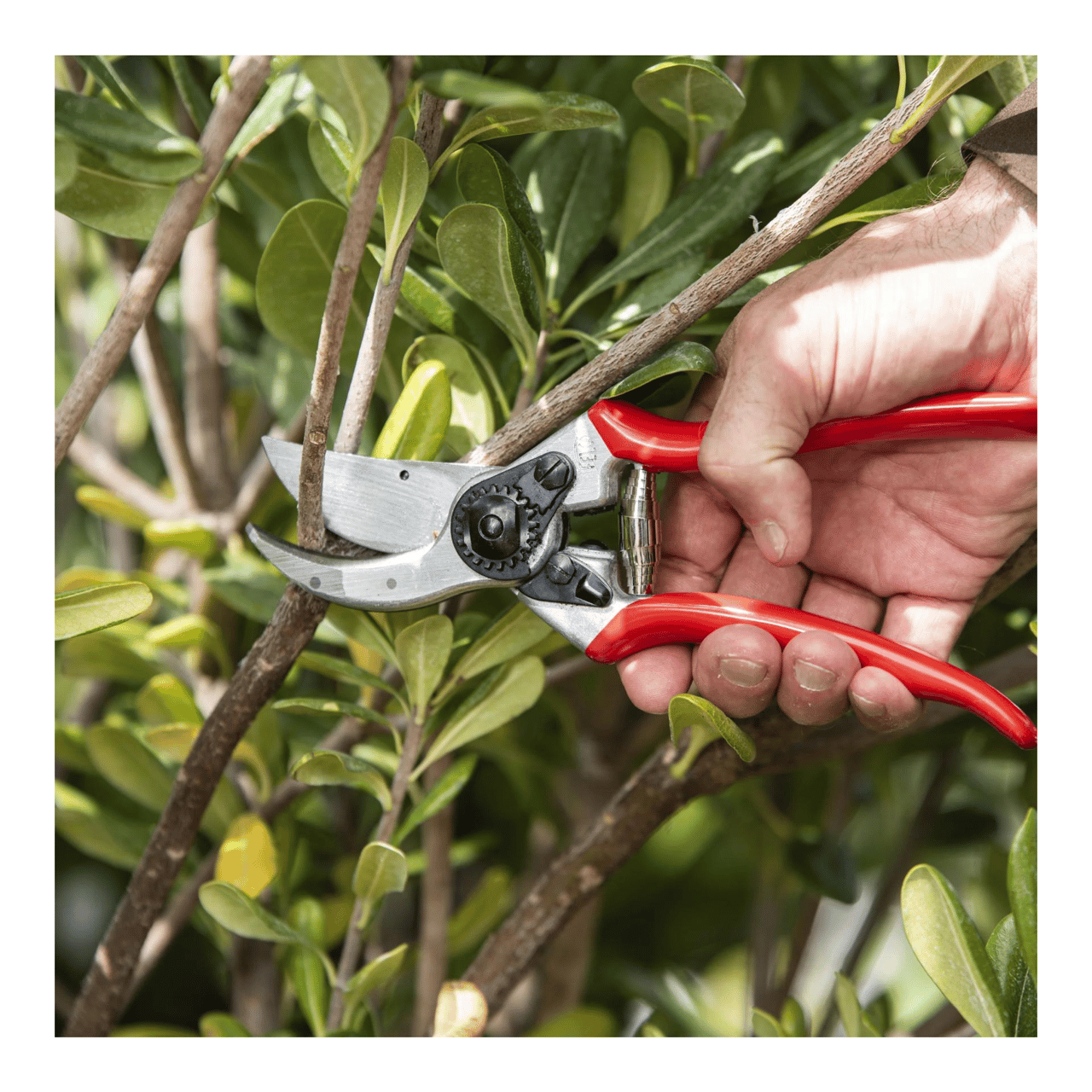 Hauptner Gartenwerkzeug Set