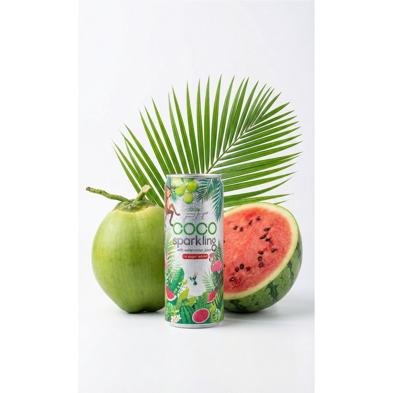 Cocofit Kokoswasser mit Wassermelone (24x320ml)