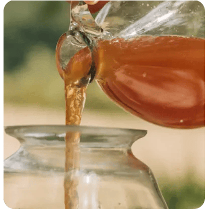 kruut Ciclo di Oxymel