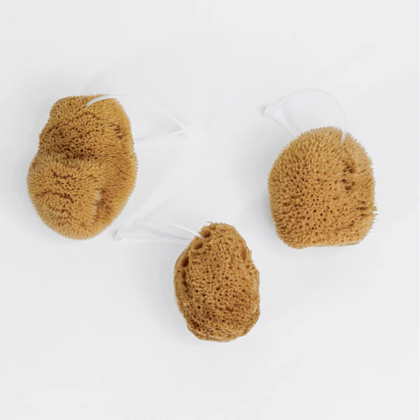 HERA ORGANICS Kit de démarrage éponge menstruelle