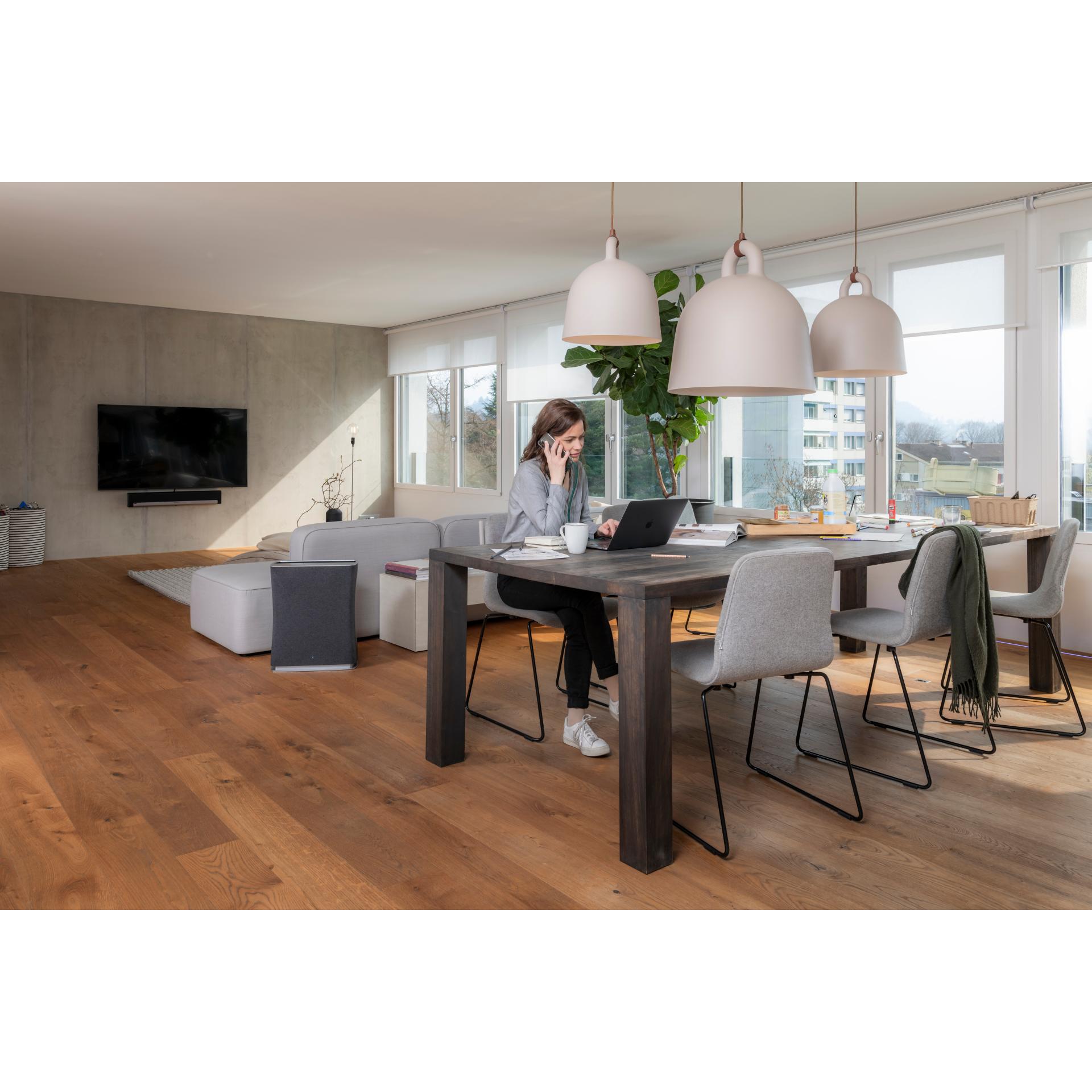 Stadler Form Purificateur d'air Roger