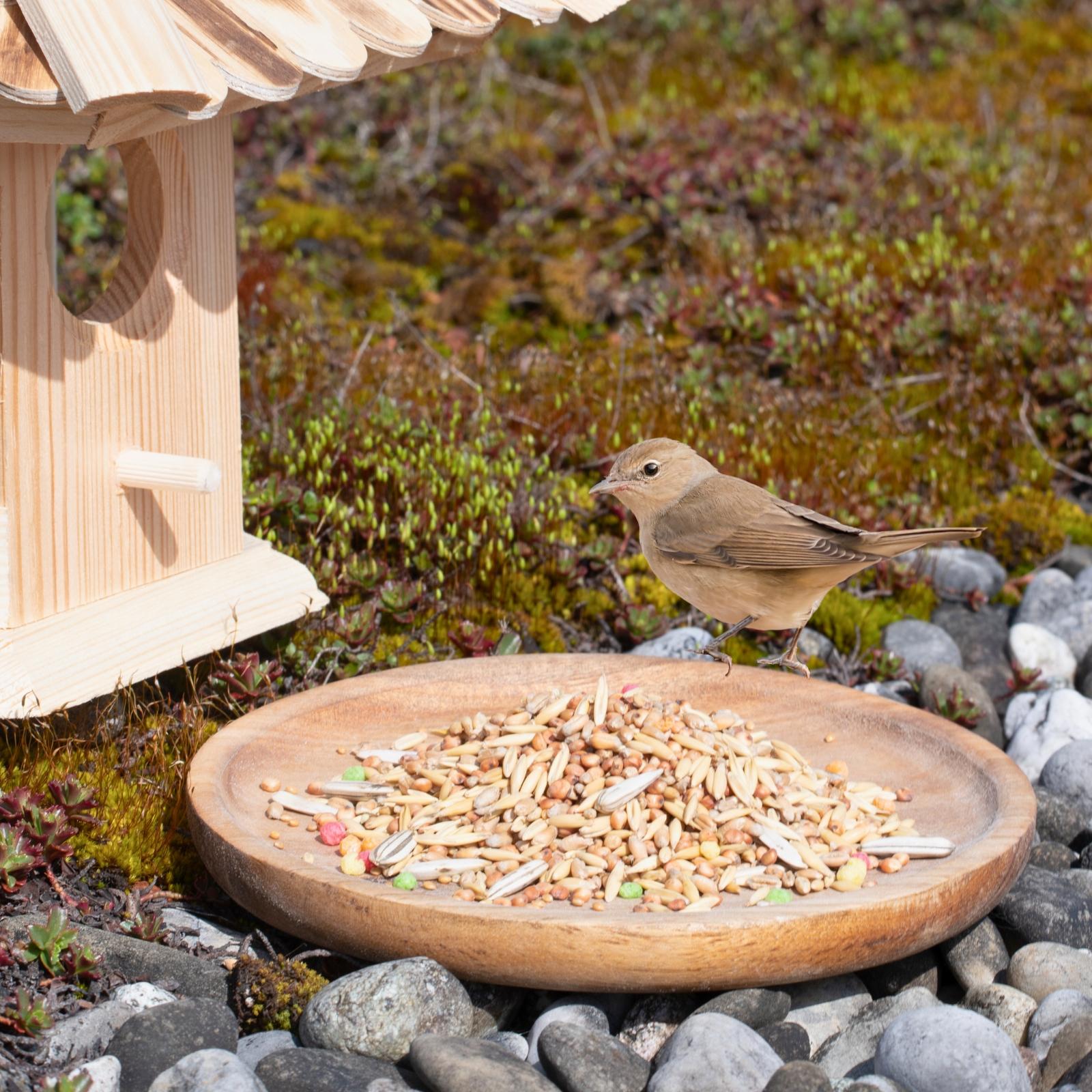 Pavillon pour oiseaux avec toit en bardeaux - épicéa + nourriture pour oiseaux