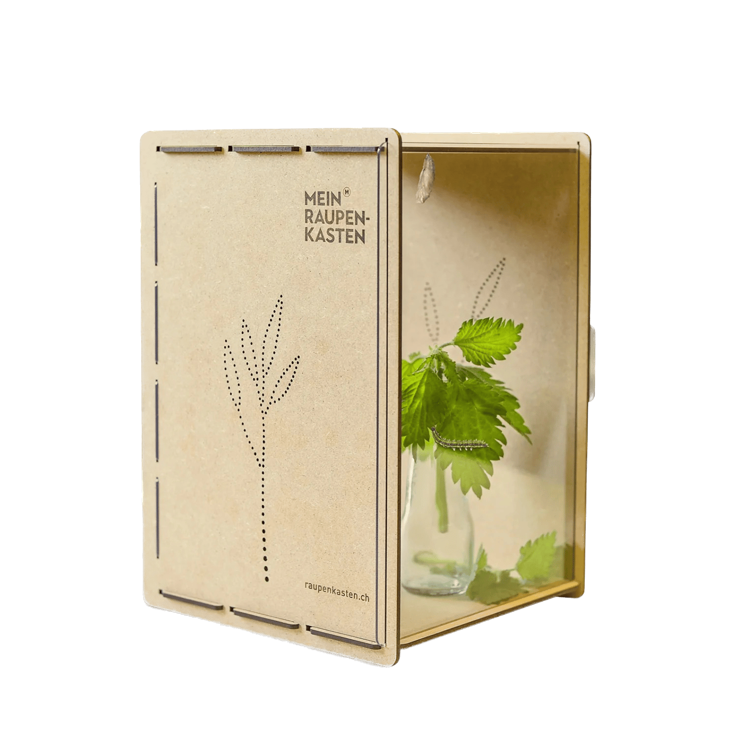 Raupenkasten für Schmetterlinge