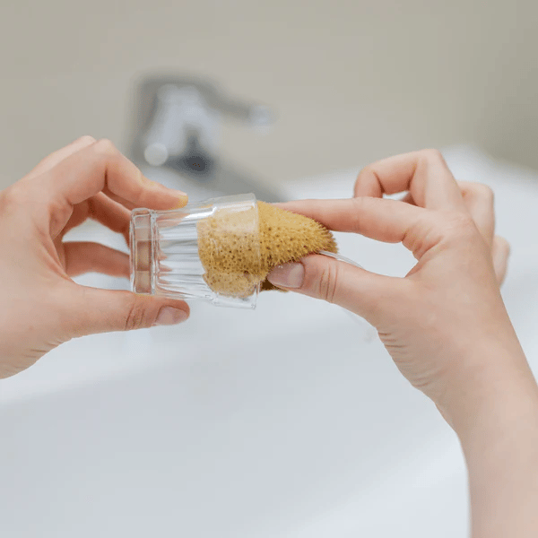 HERA ORGANICS Kit de démarrage éponge menstruelle