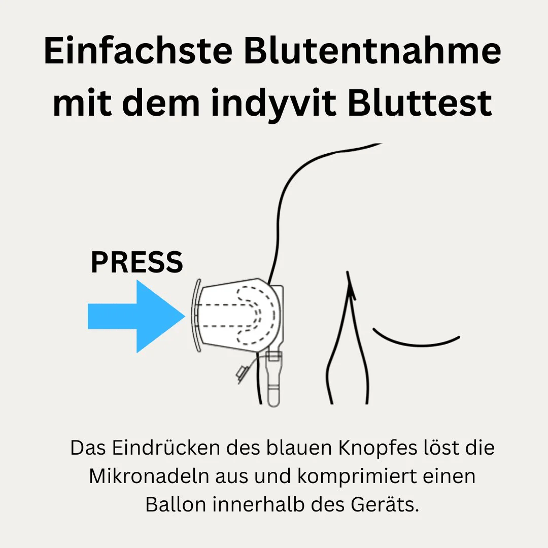 INDYVIT All-in-1 Bluttest