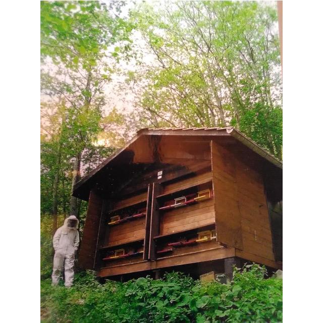 Alpuris Schweizer Honig