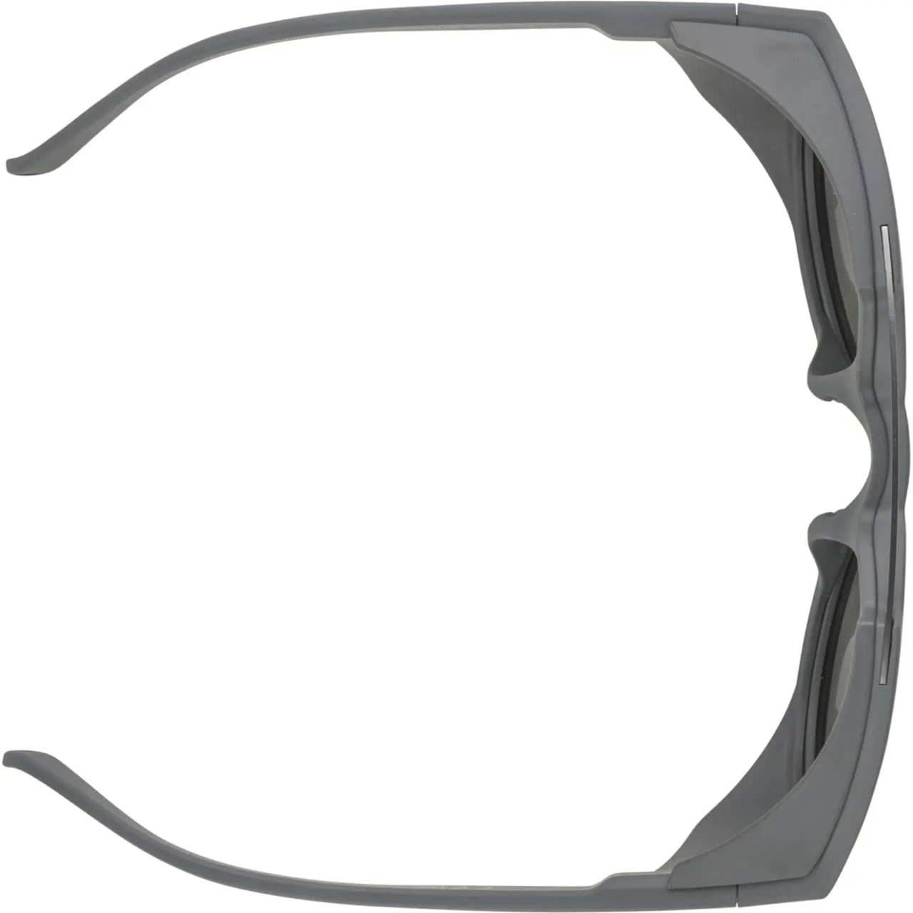 Alpina GLACE P Sonnenbrille - Unisex