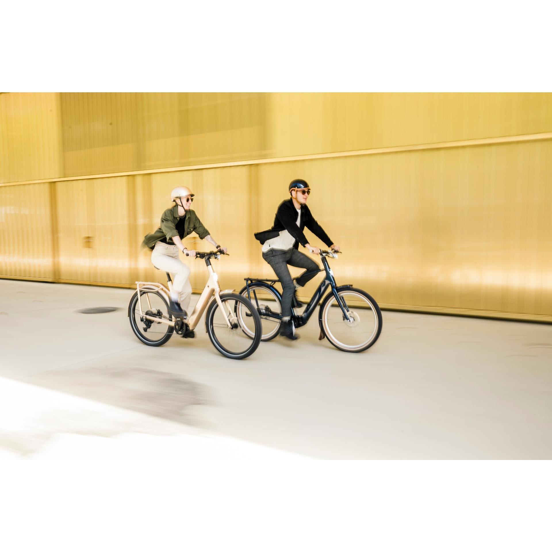 EGO Movement Pixii E-Bike inkl. Montage und Lieferung