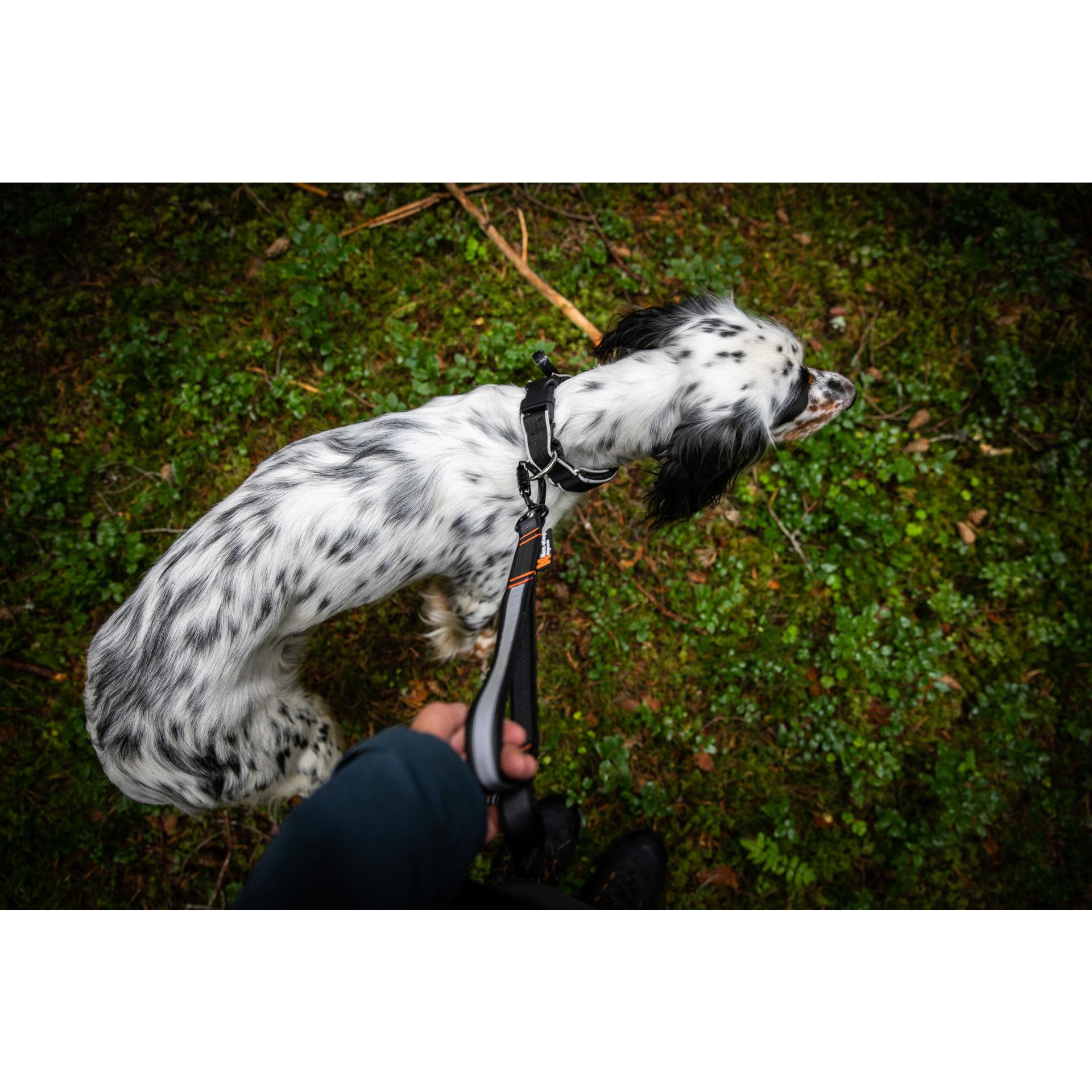 Non-stop Dogwear Hundeleine Touring Bungee Leash Adjustable 