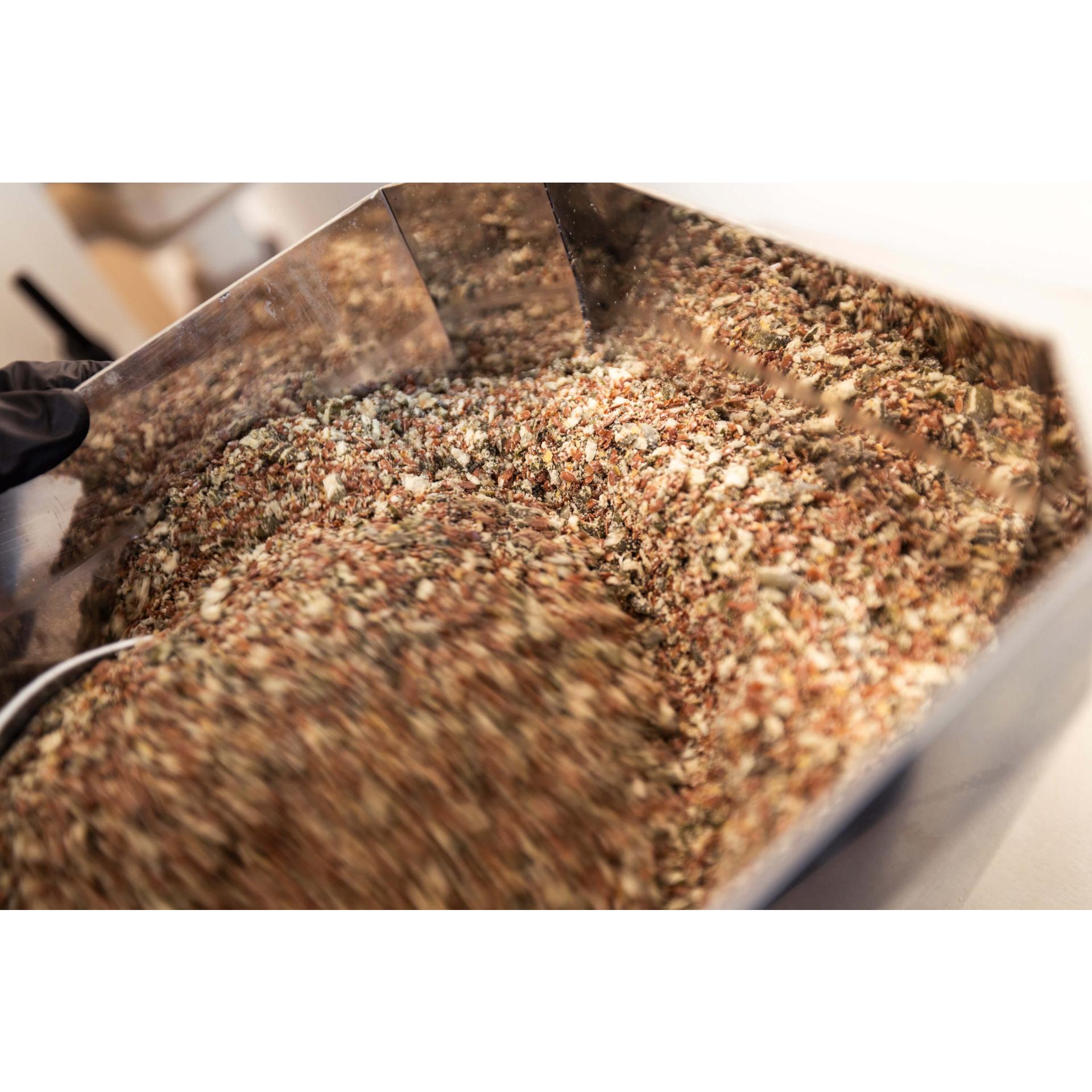 LÜN Cycle Seeds im Duo