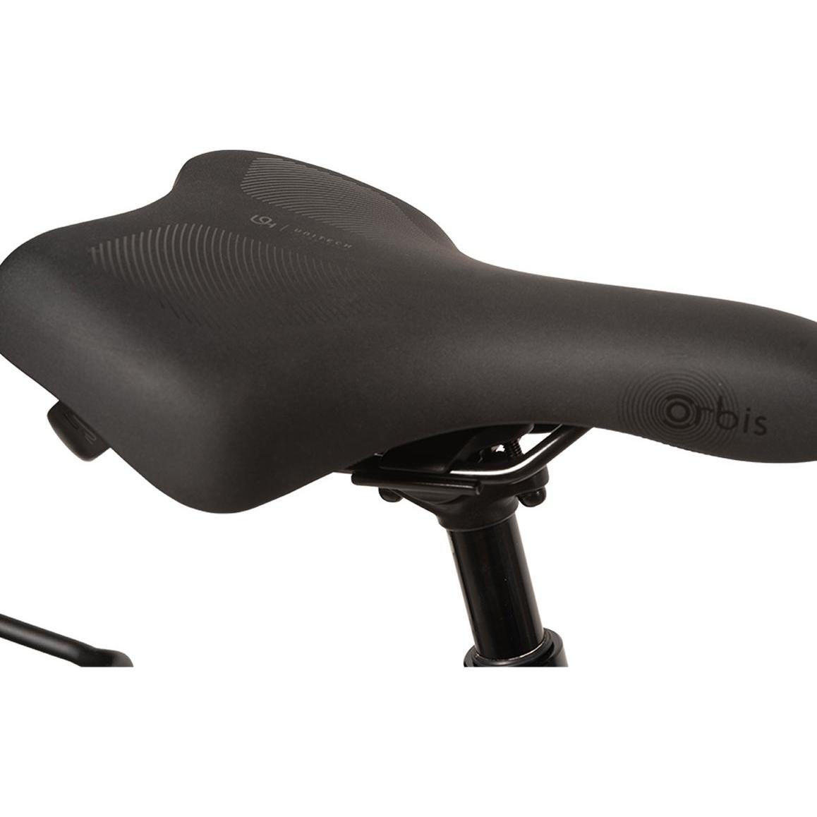 Allegro Vélo électrique Allcity Lite+, montage et livraison compris
