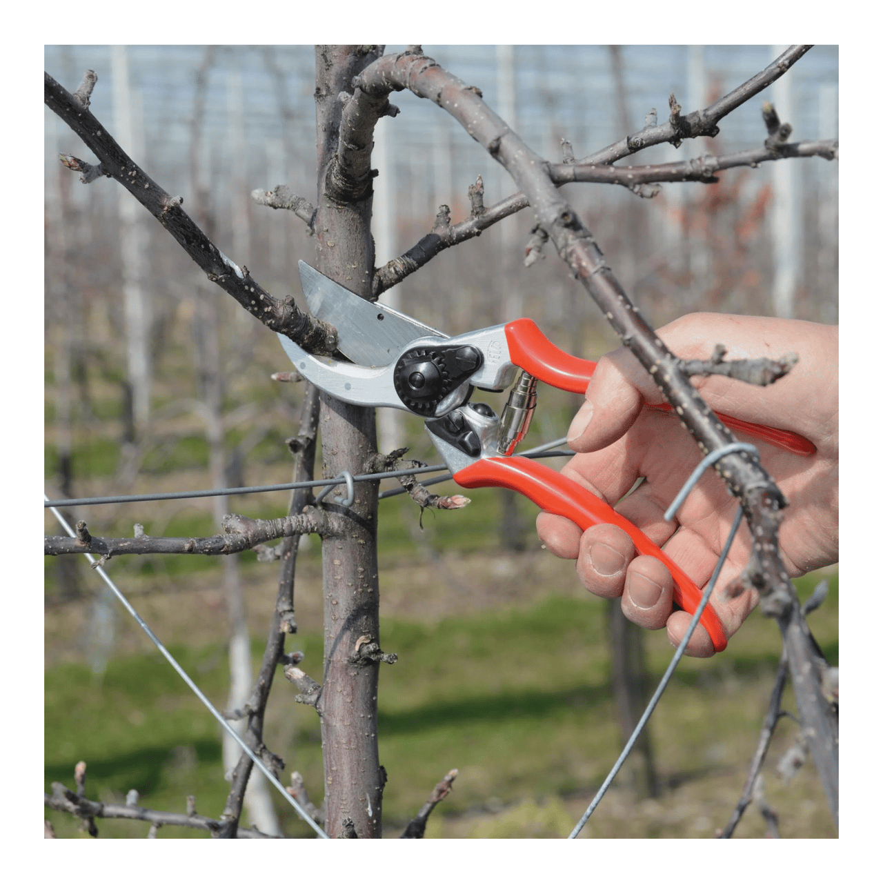 Hauptner Gartenwerkzeug Set