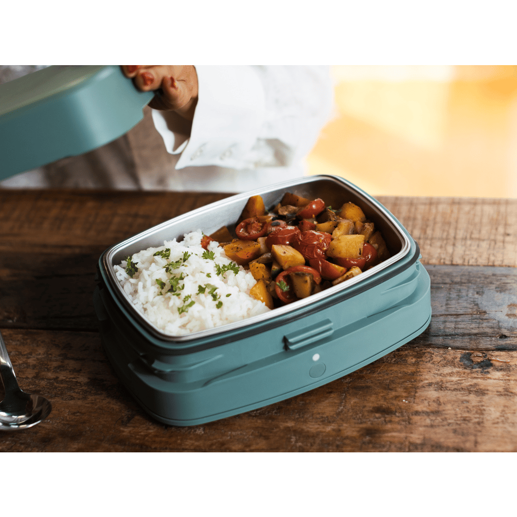 Steasy Mobiler Mini-Steamer