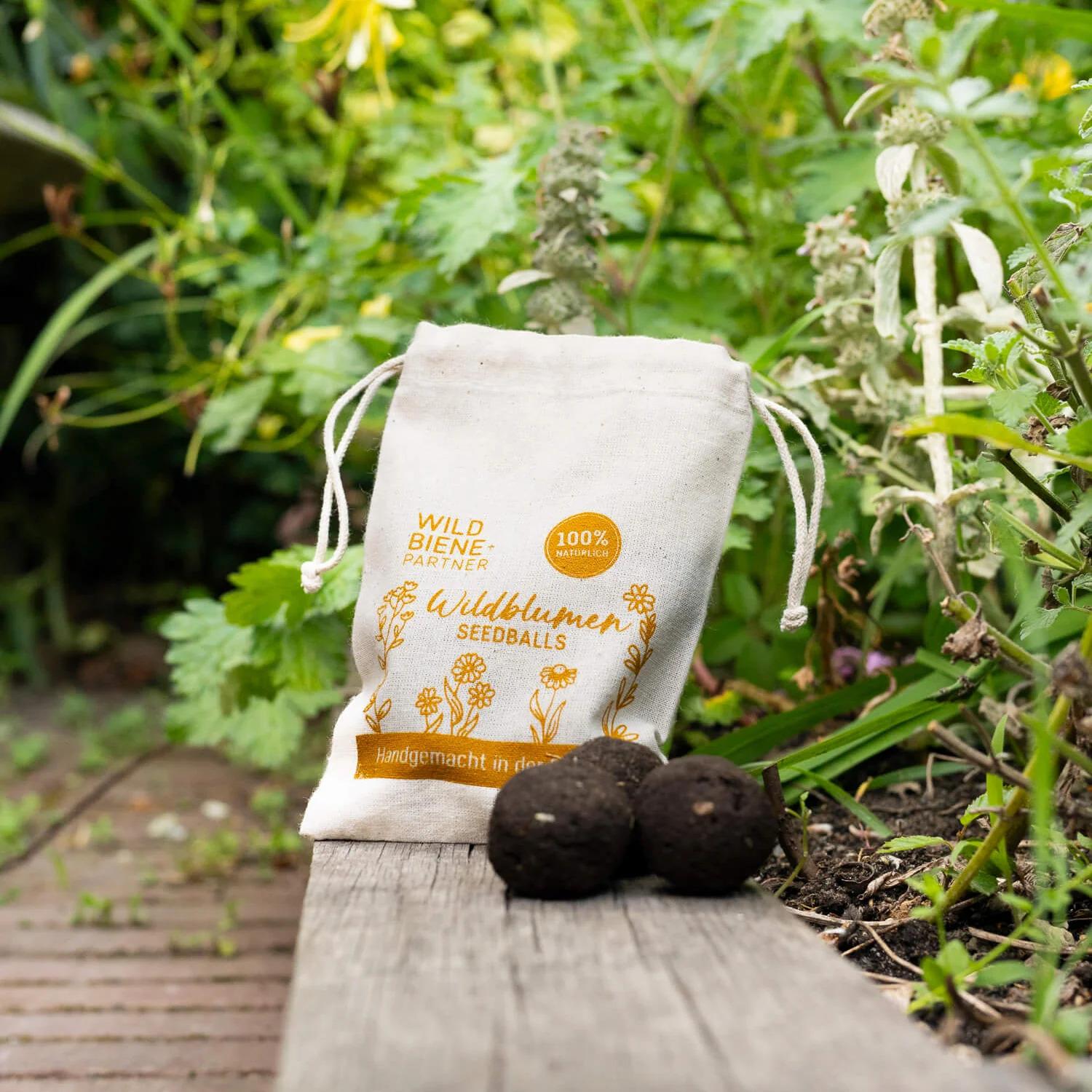 Wildbiene + Partner Seedballs mit Wildblumen Set