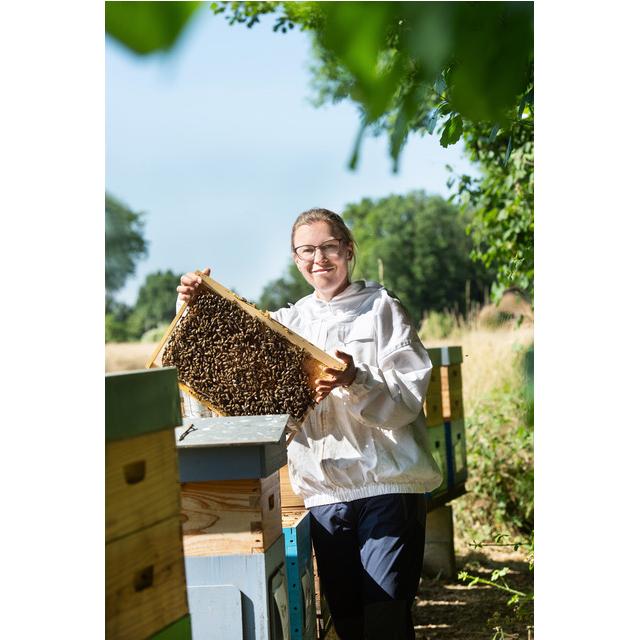 Alpuris Miele svizzero