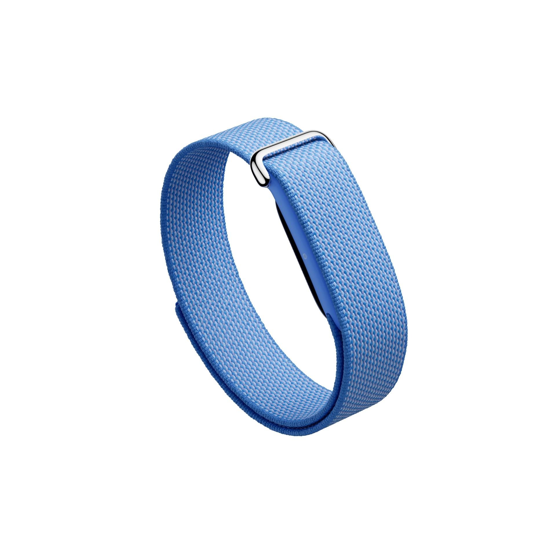 Google Fitbit Air