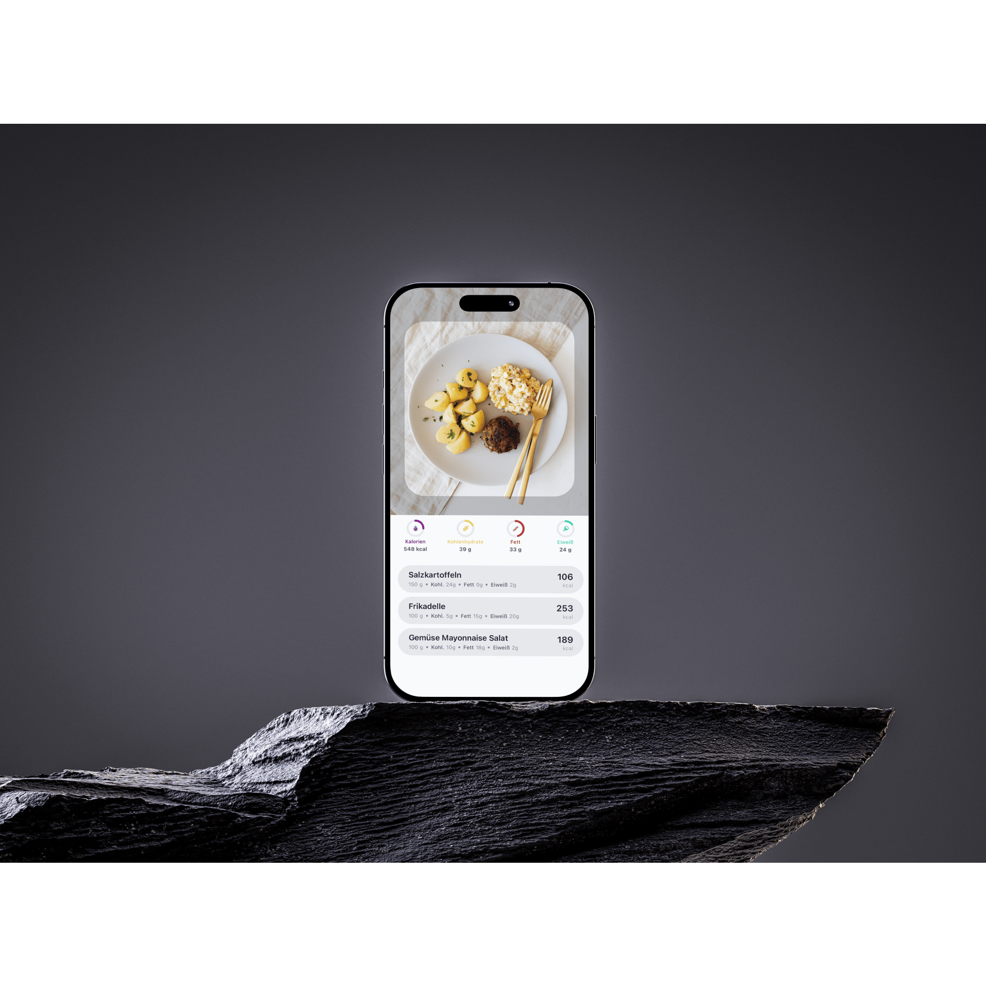 CalorieCam (Zugang für 12 Monate)