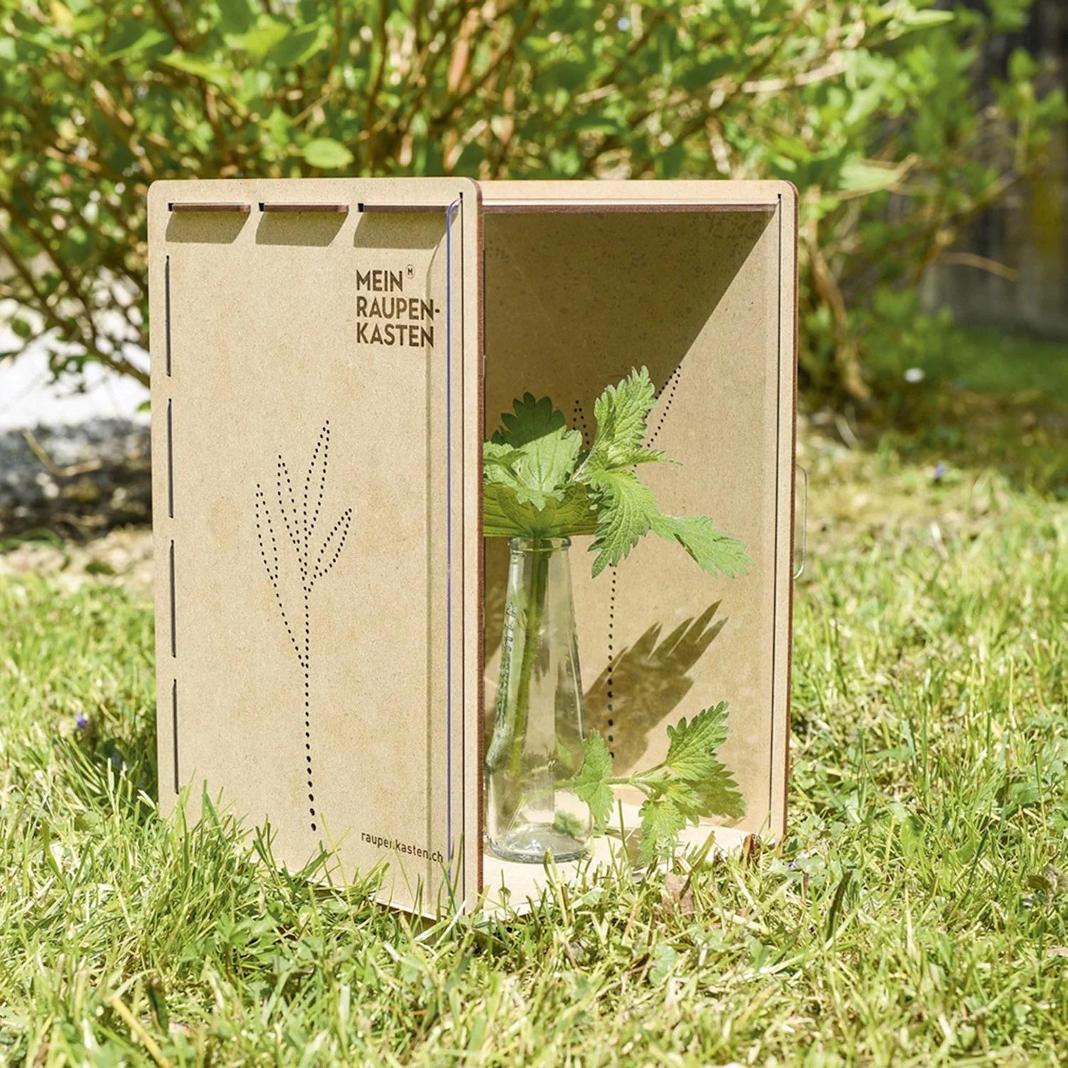 Wildbiene + Partner Raupenkasten für Schmetterlinge