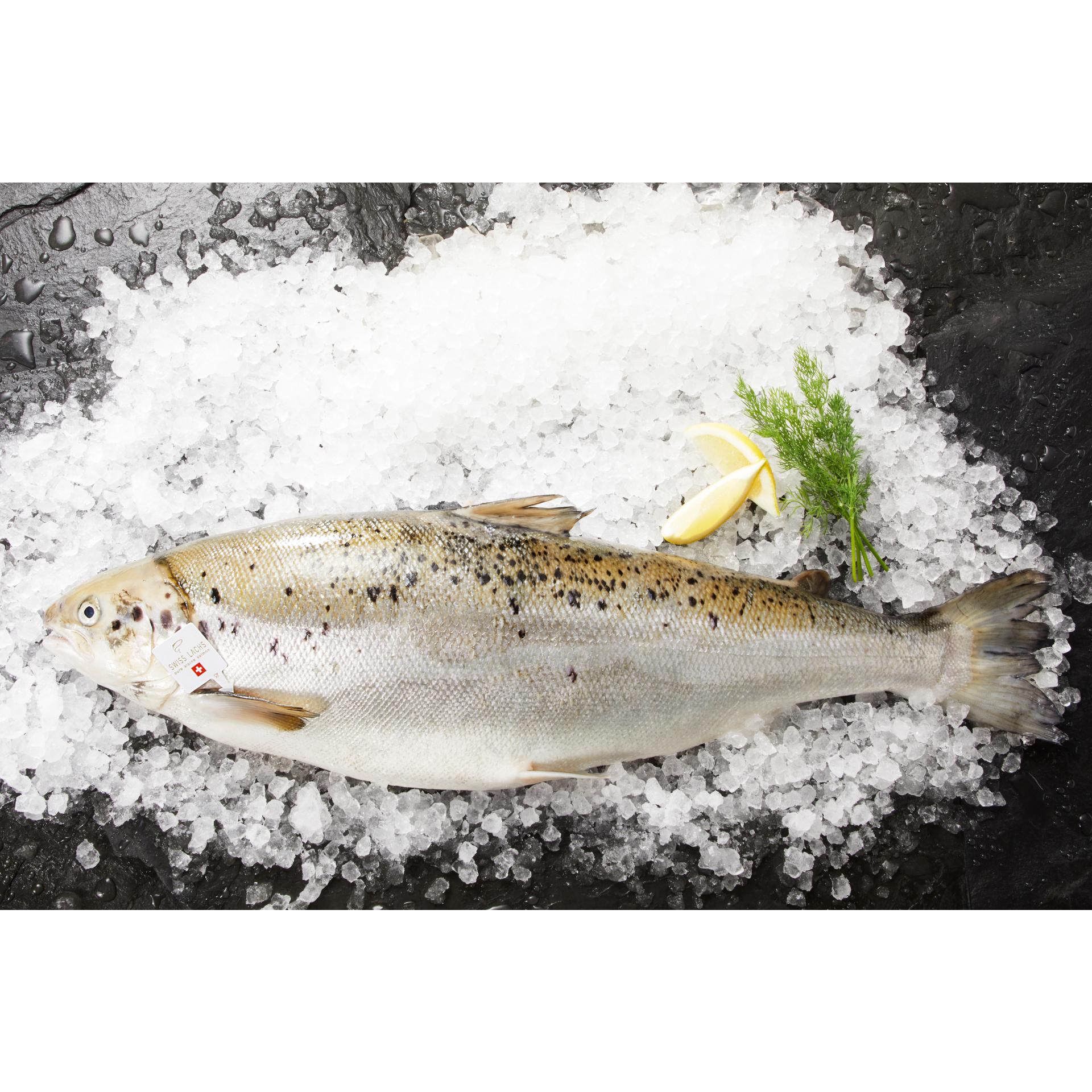 Swiss Lachs Wertgutschein für Swiss Lachs