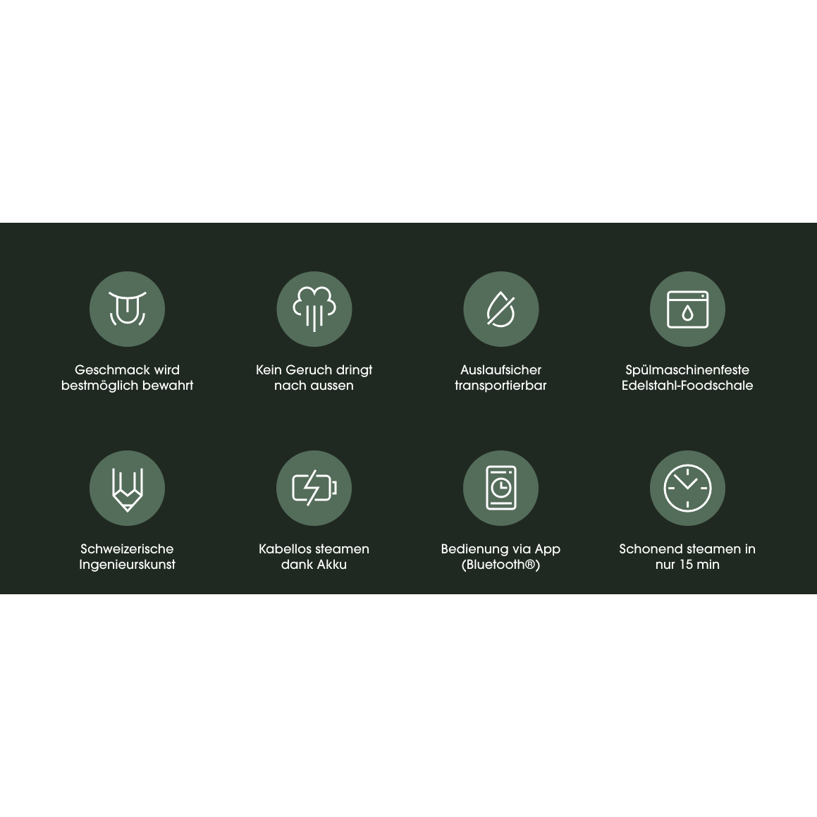 Steasy Mobiler Mini-Steamer