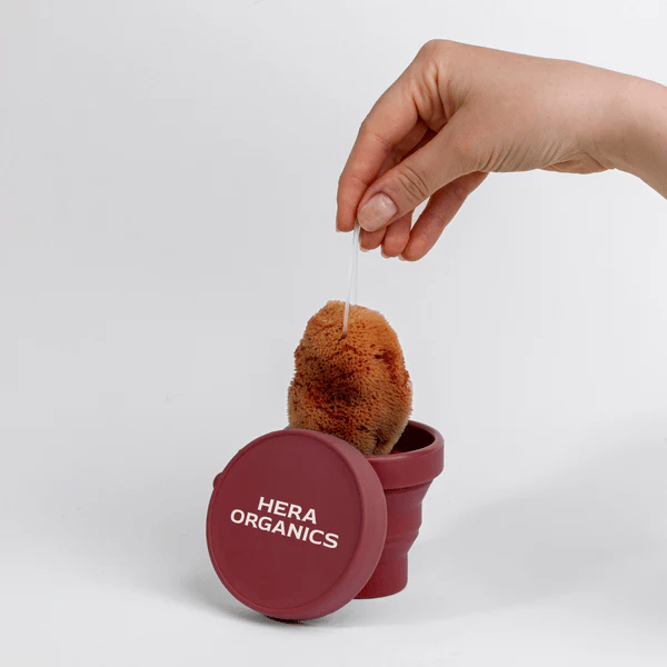 HERA ORGANICS Kit de démarrage éponge menstruelle