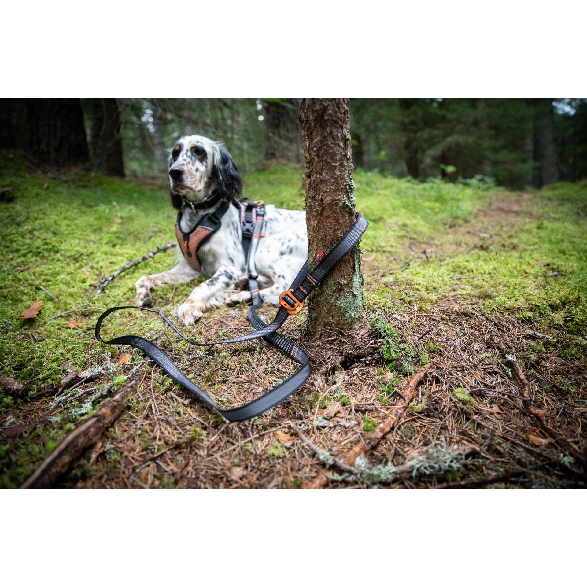 Non-stop Dogwear Hundeleine Touring Bungee Leash Adjustable 