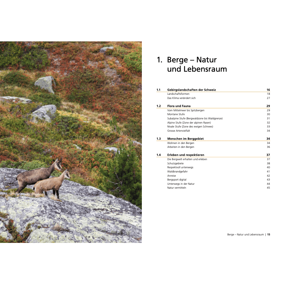 Schweizer Alpen-Club SAC Buch Ausbildung Bergwandern - Alpinwandern