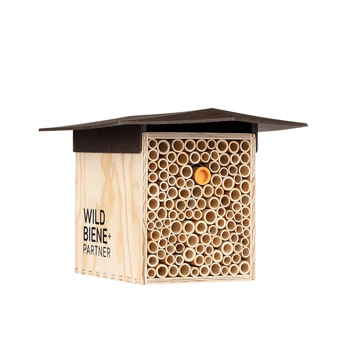 BeeHome One