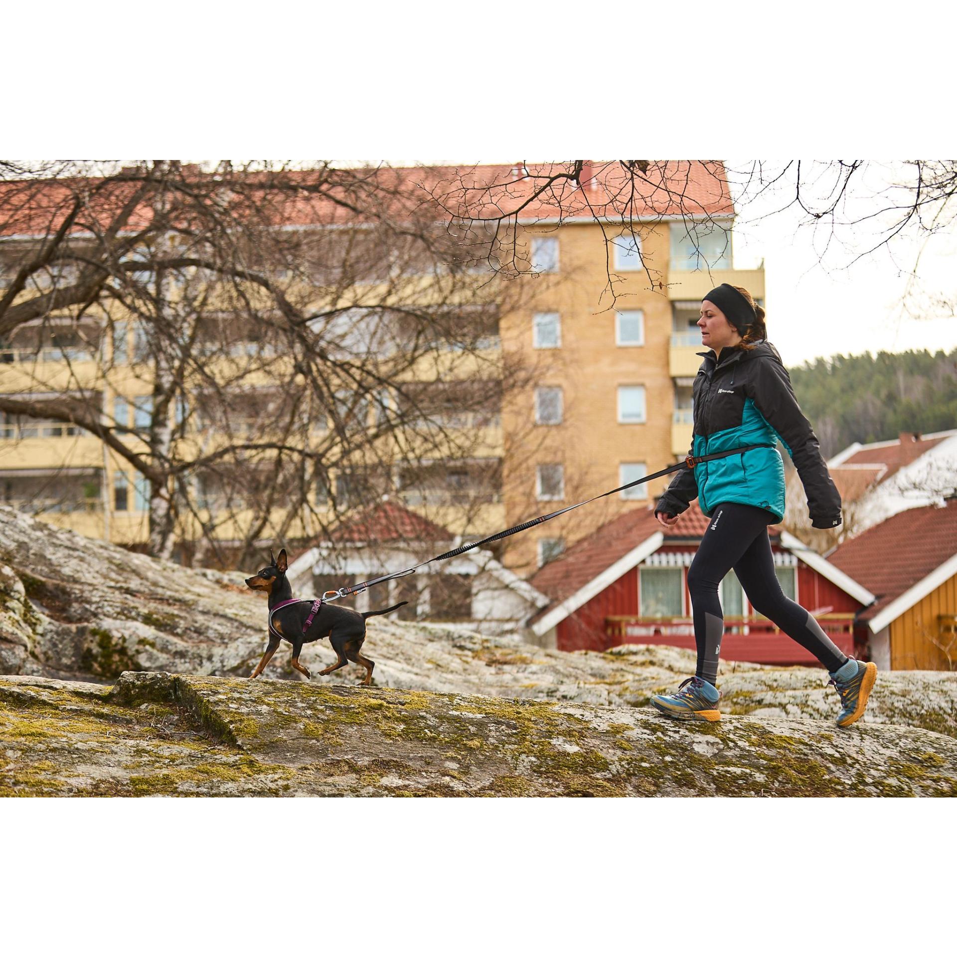 Non-stop Dogwear Hundeleine Touring Bungee Leash Adjustable 