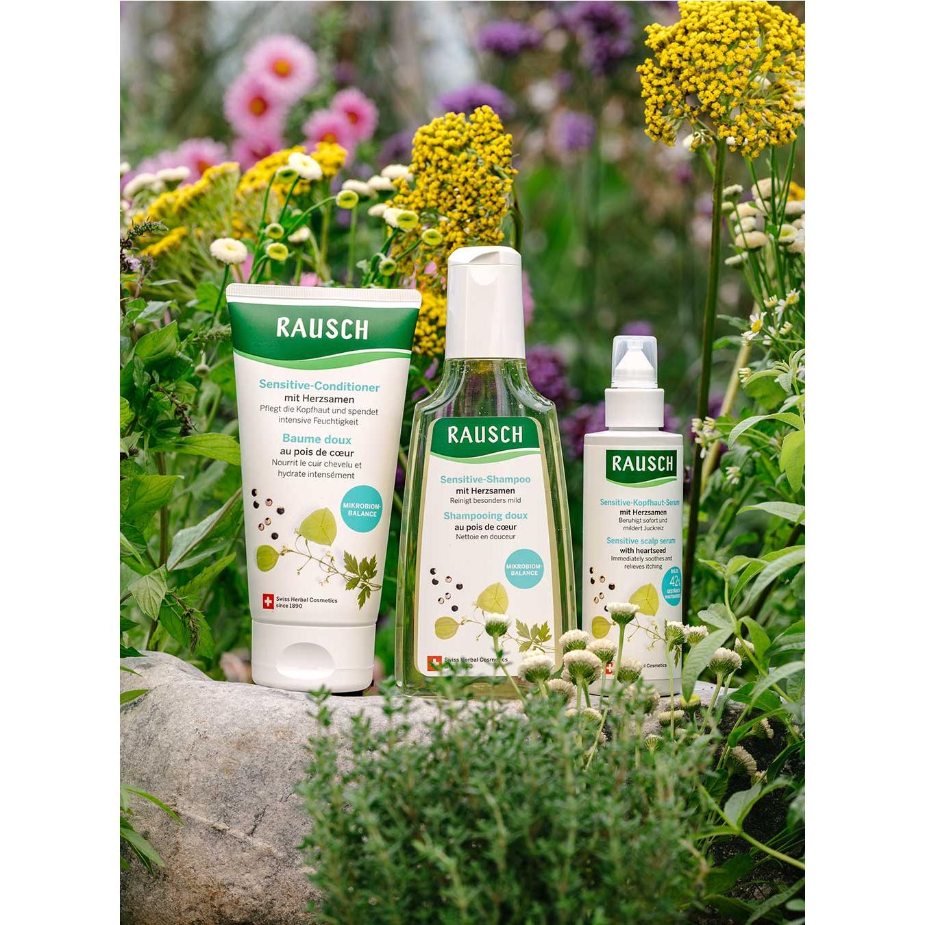 Rausch Kit pour cuir chevelu très sensible