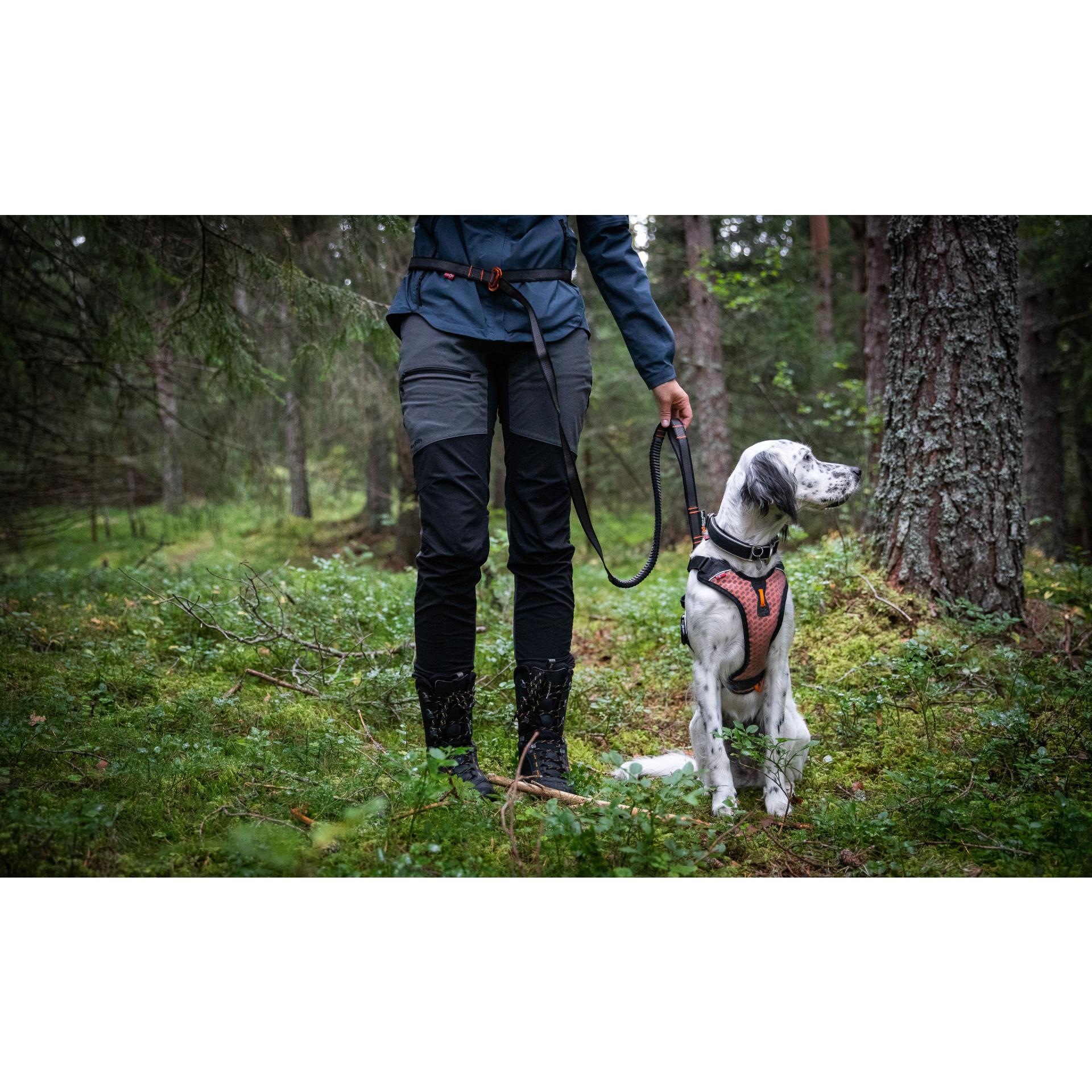 Non-stop Dogwear Hundeleine Touring Bungee Leash Adjustable 