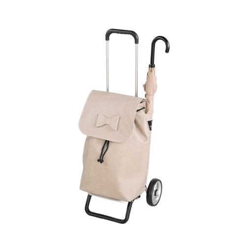 Carrello per la spesa