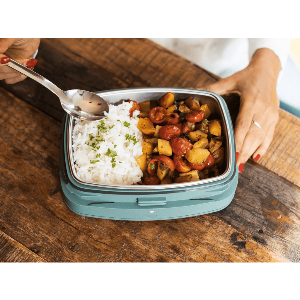 Steasy Mobiler Mini-Steamer