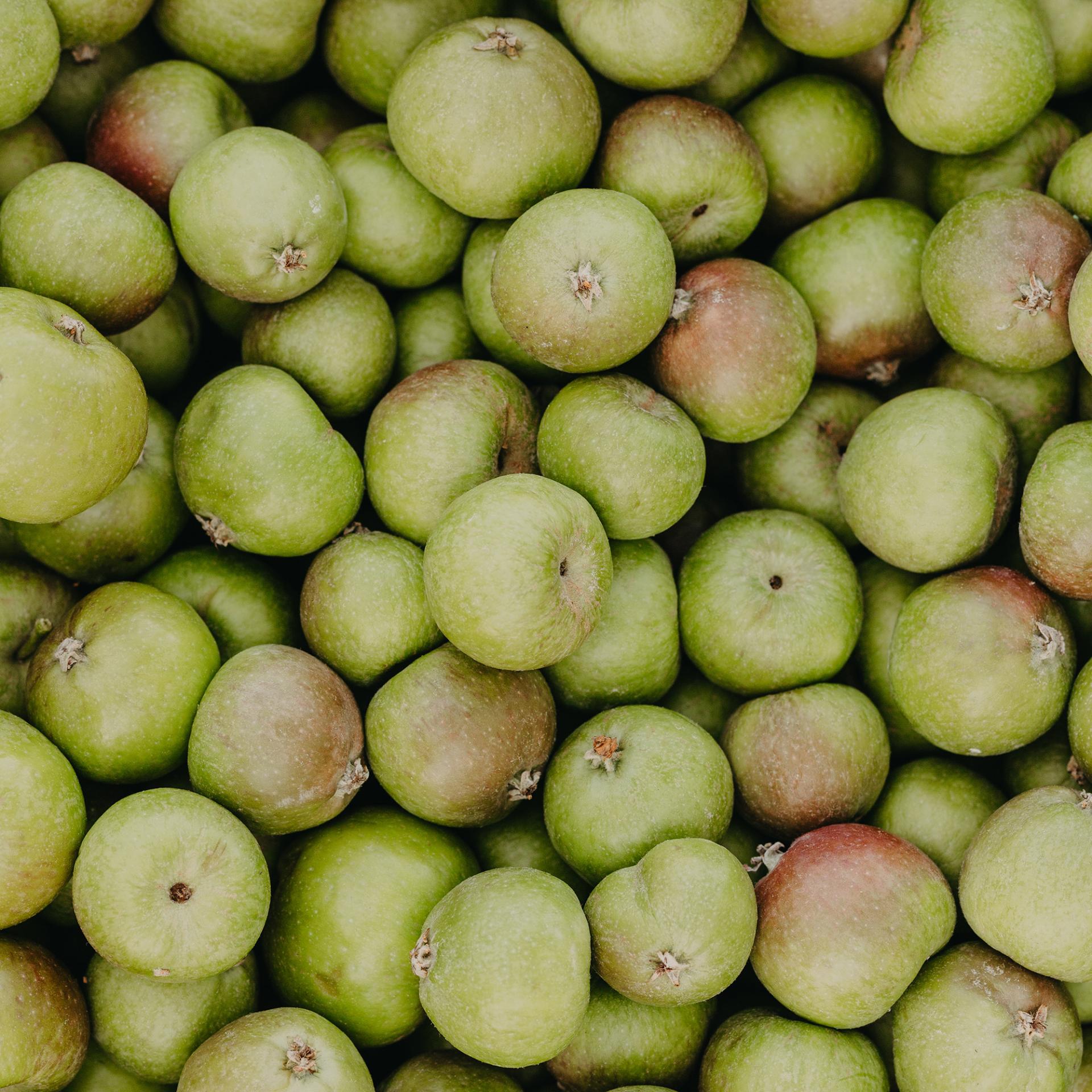 Rausch Anti-Pollution Set