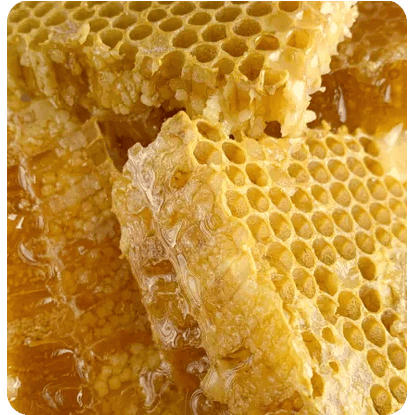 kruut Ciclo di Oxymel