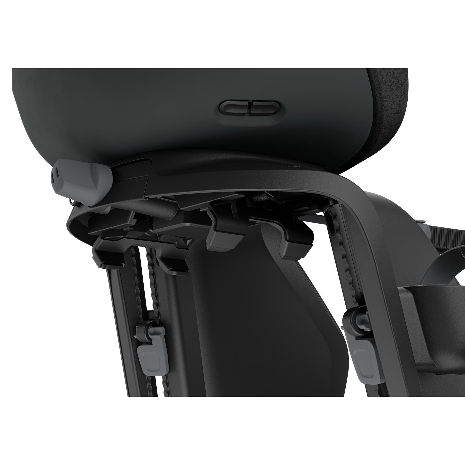 THULE Fahrradkindersitz Yepp Nexxt 2 maxi